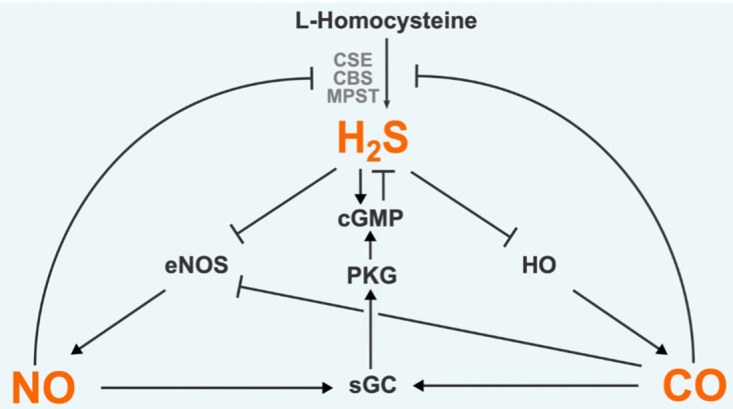 Figure 3.