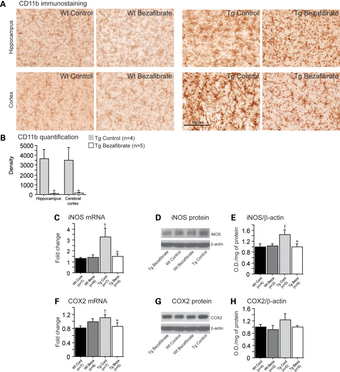 Figure 3.