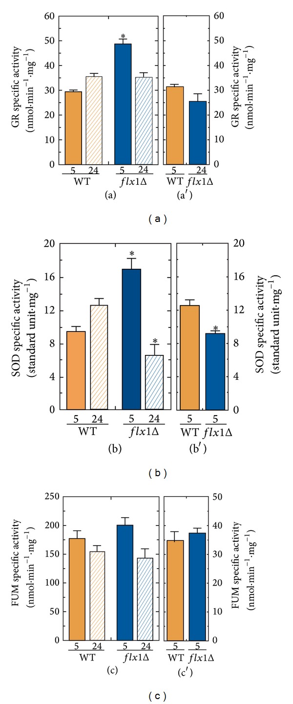 Figure 5