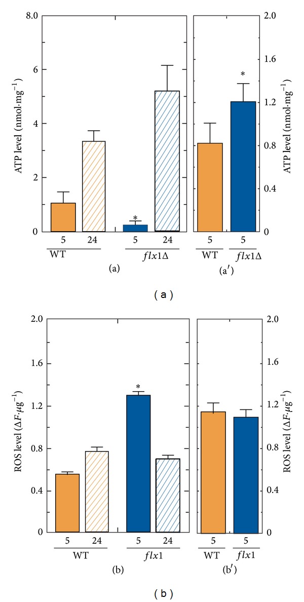 Figure 4