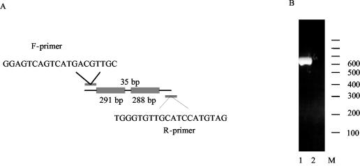 FIG. 1.