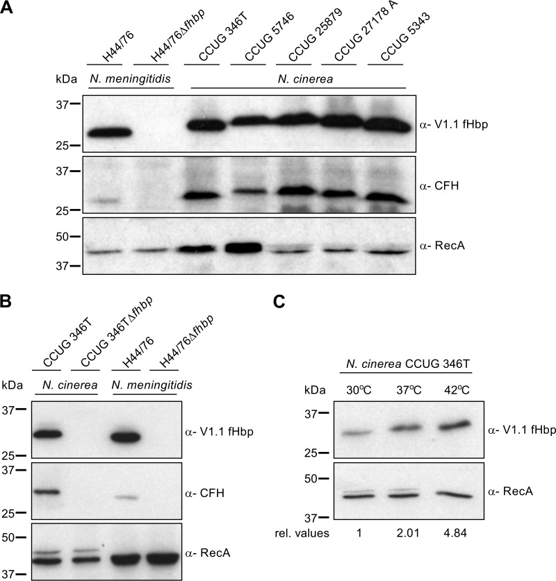 FIG 3