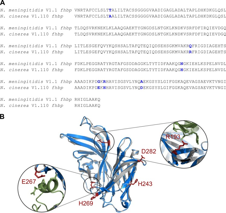 FIG 1