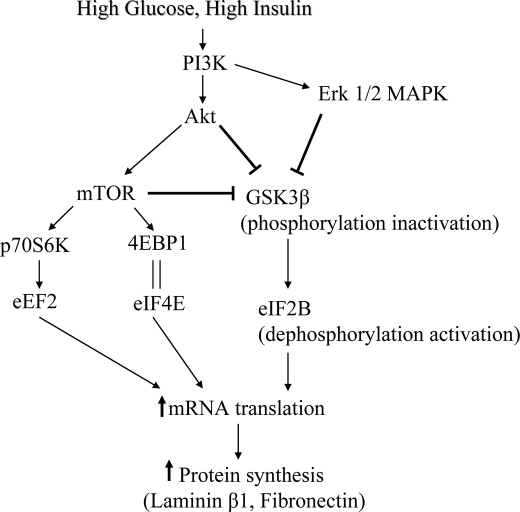 FIGURE 10.