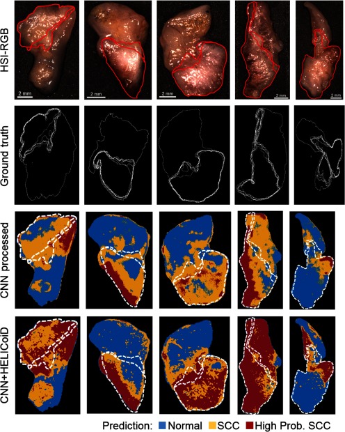 Fig. 6