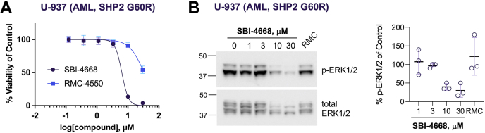 Figure 5