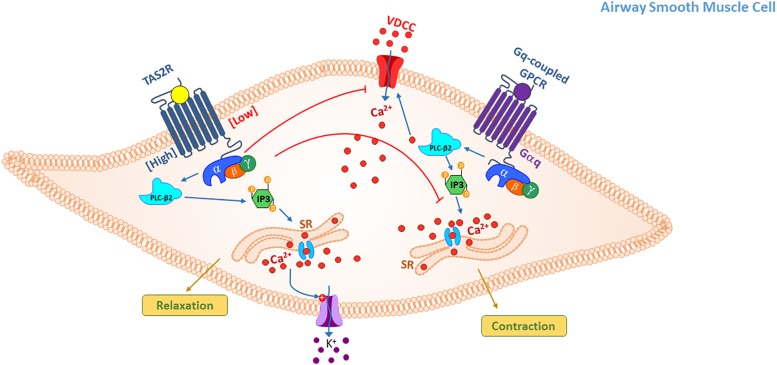 FIGURE 2