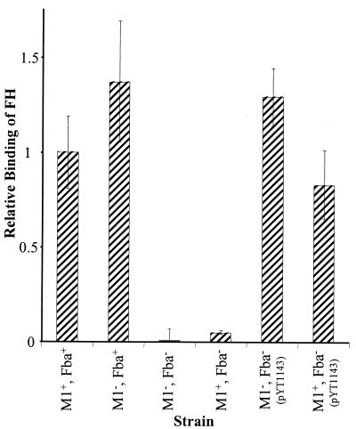 FIG. 2.