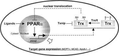 Figure 9.