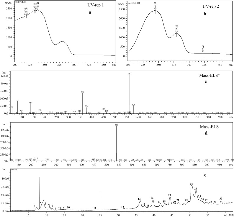 Fig. 4