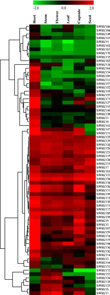 Fig. 5