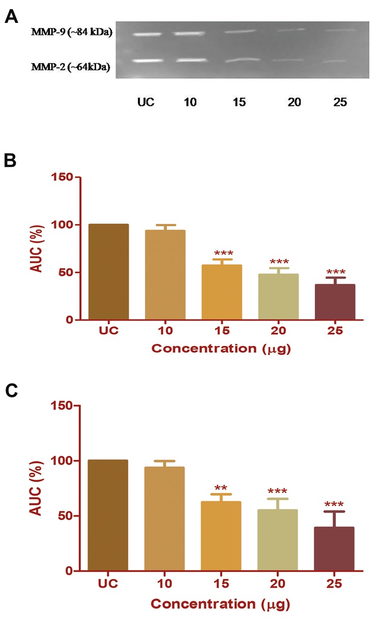 Fig.3