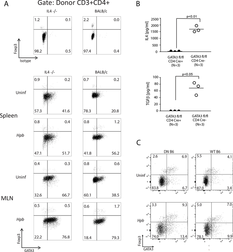 Figure 11.