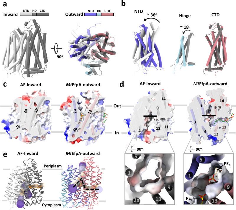 Fig. 4