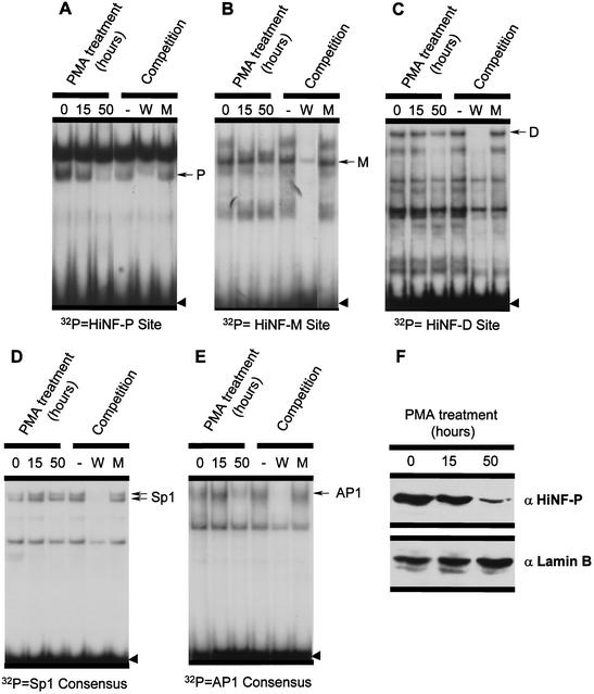 FIG. 8.