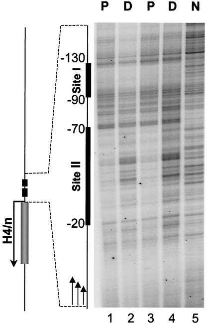 FIG. 7.