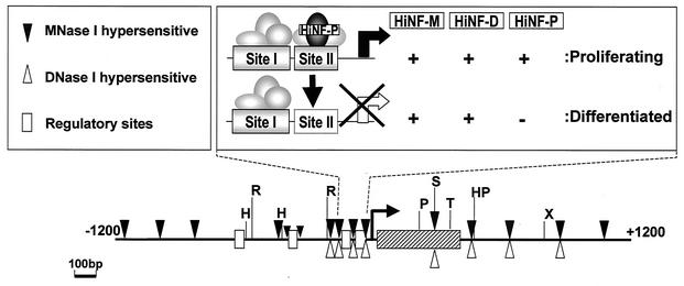 FIG. 9.