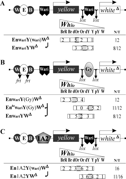 Figure 3.