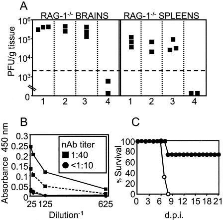 FIG. 8.