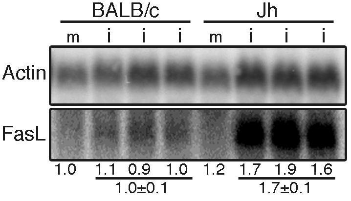 FIG. 5.