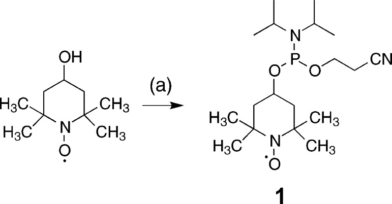 Scheme 1