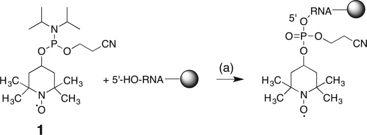 Scheme 2