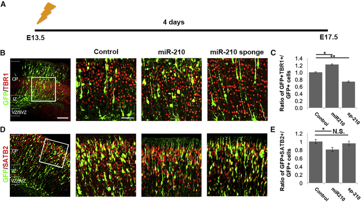 Figure 6