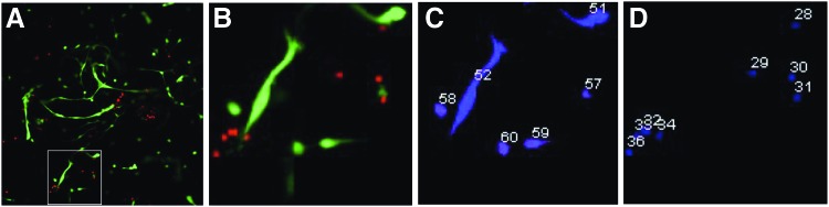 FIG. 3.