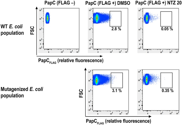 Figure 5.