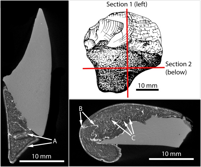 Fig. 3.