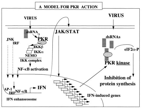 FIG. 7