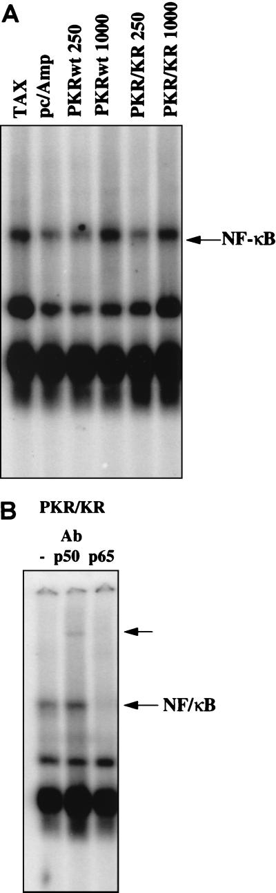 FIG. 4