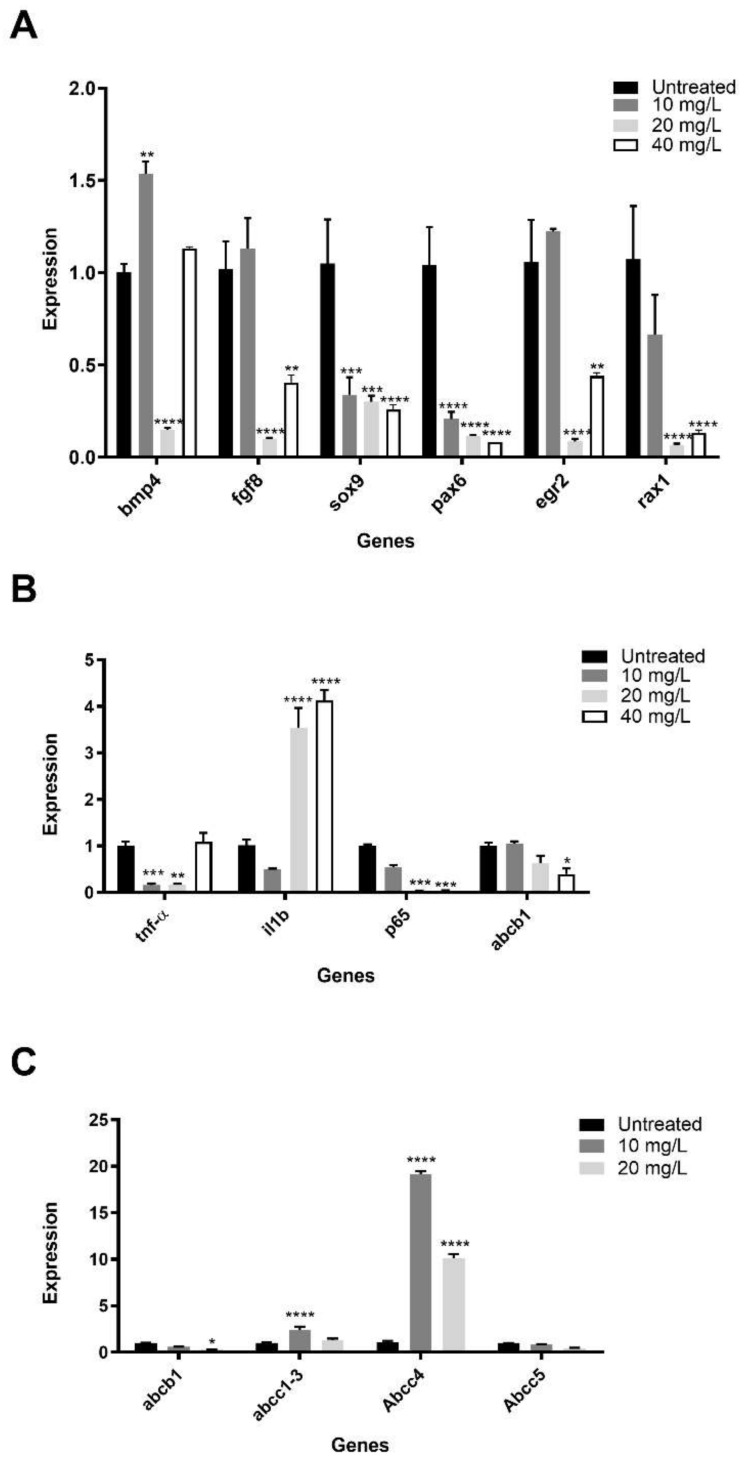 Figure 7