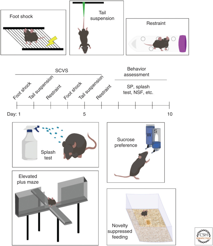 Figure 2.