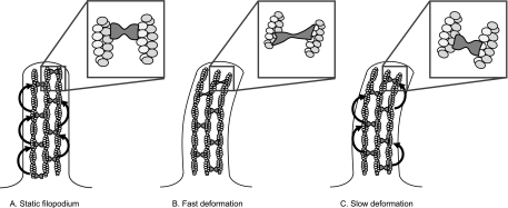 Figure 10.