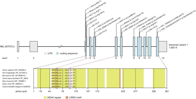 Figure 2