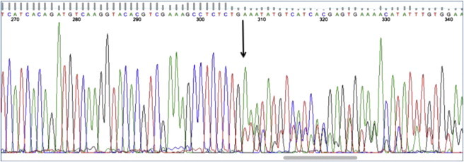 Figure 3