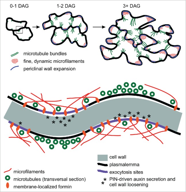 Figure 1.