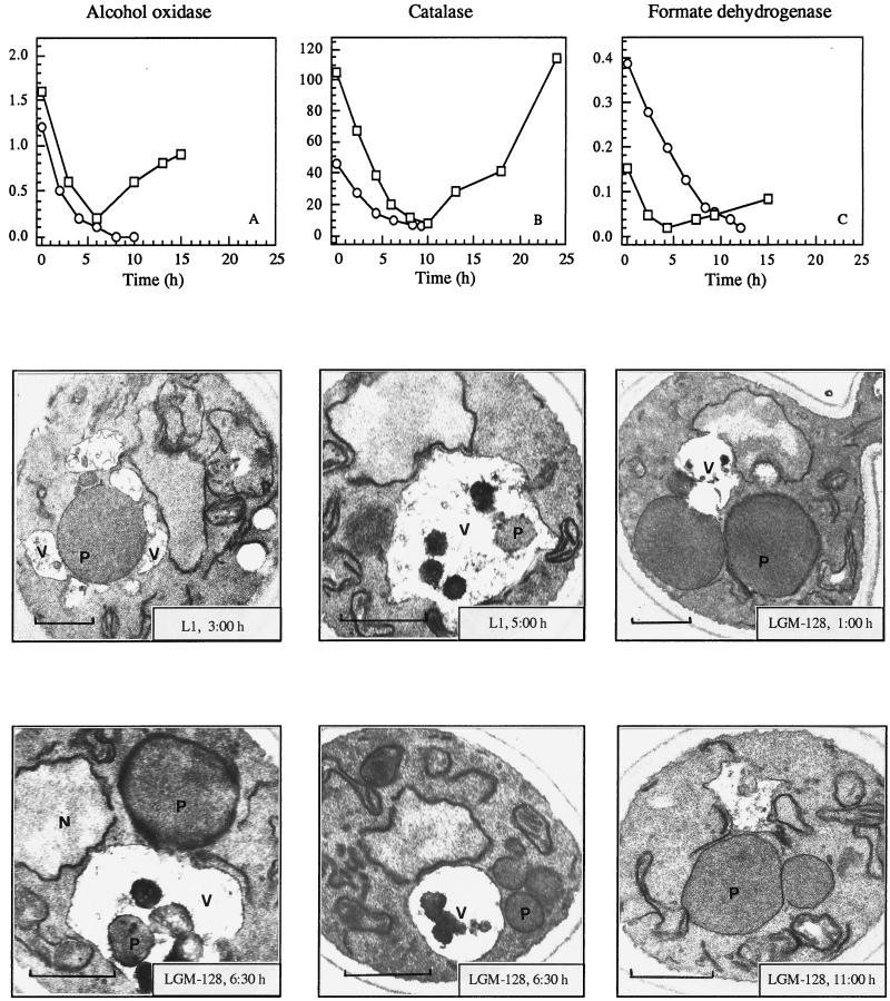 FIG. 6