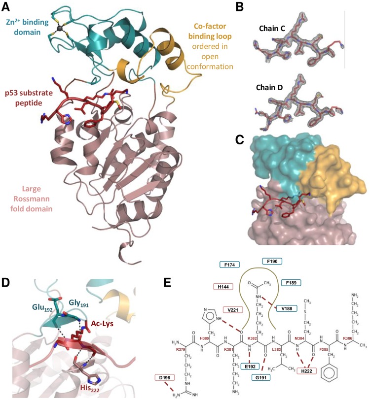 Fig 3