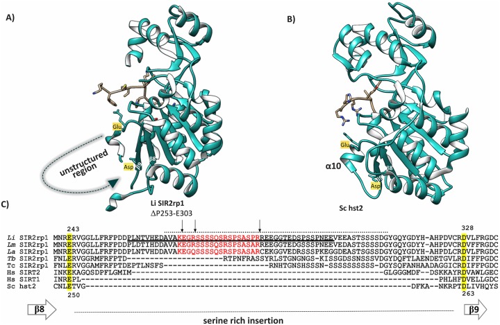 Fig 5