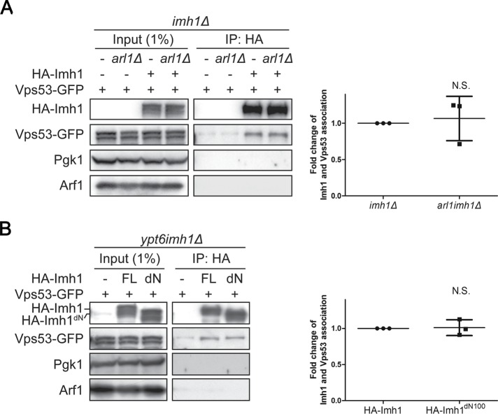 FIGURE 7: