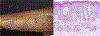 Fig 3.