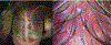 Fig 8.