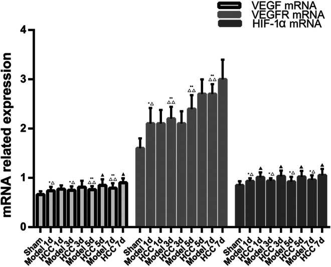 FIGURE 11