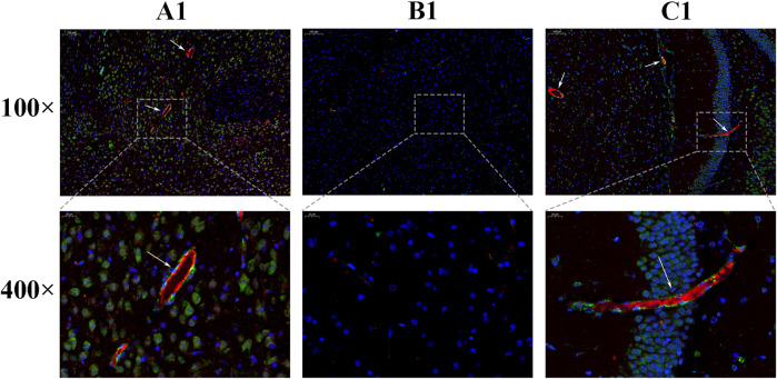 FIGURE 10