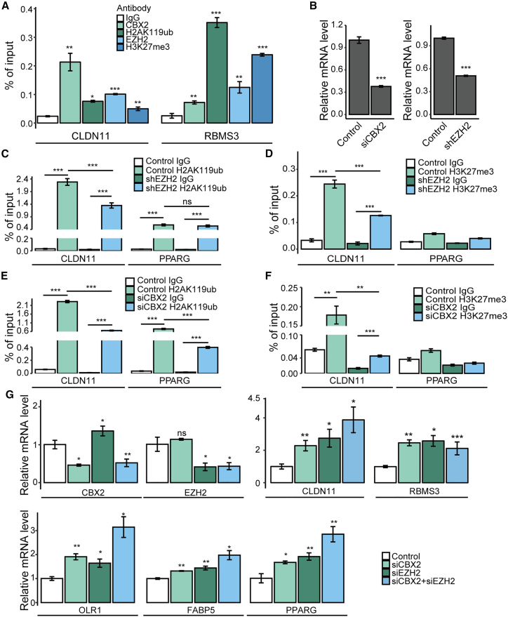 Figure 6