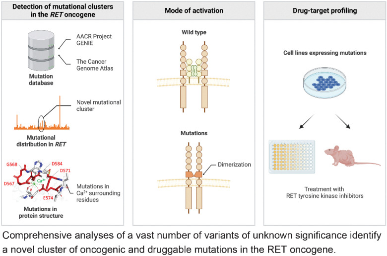 graphic file with name overview_graphic_can-22-0834.jpg