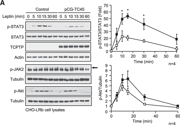 Figure 4A.