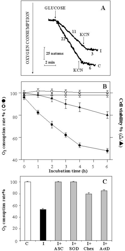 Figure 10.